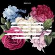 FLOWER ROAD FLOWER ROAD