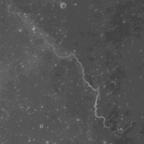 伽利略月溪