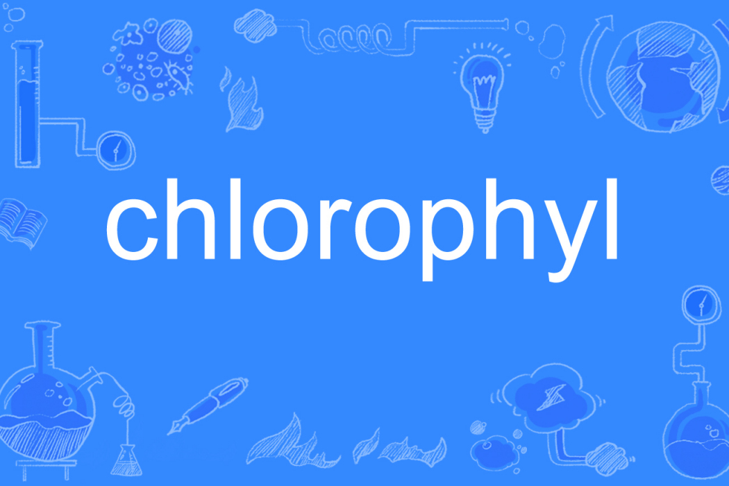 chlorophyl chlorophyl