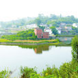 蔡家堰村 蔡家堰村