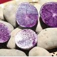 紫色薯條卷