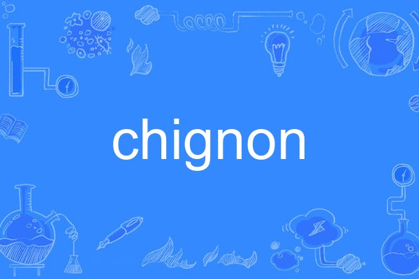 chignon chignon