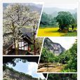 開陽縣(開陽（貴州省貴陽市下轄的縣）)