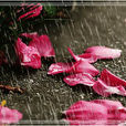 花凋(綠痕小說) 花凋(綠痕小說)