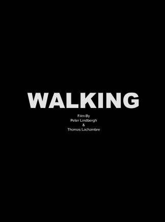 伊莉娜·莎伊克(伊莉娜（內衣模特）)