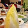 金玉蘭菜 金玉蘭菜