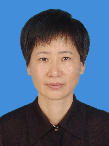 許露露 許露露
