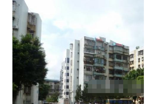 胡椒園 胡椒園