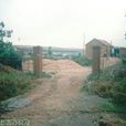 小屯村(山東省青島市萊西馬連莊鎮小屯村) 小屯村(山東省青島市萊西馬連莊鎮小屯村)