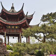 西湖牡丹園 西湖牡丹園