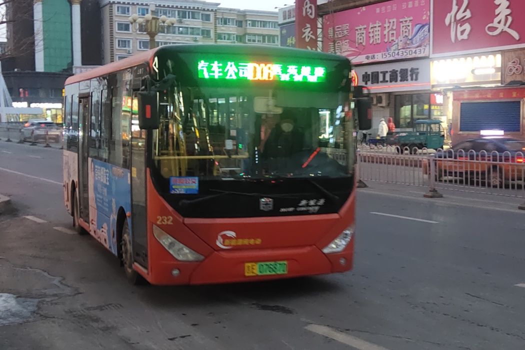 通化公交D06路 通化公交D06路