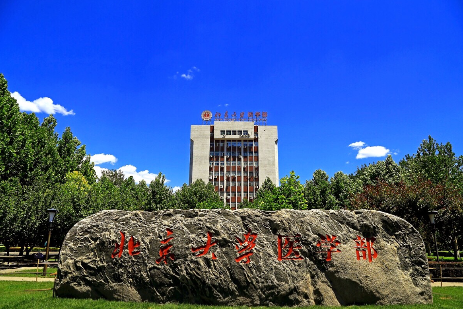 北京大學醫學部(PUHSC) 北京大學醫學部(PUHSC)