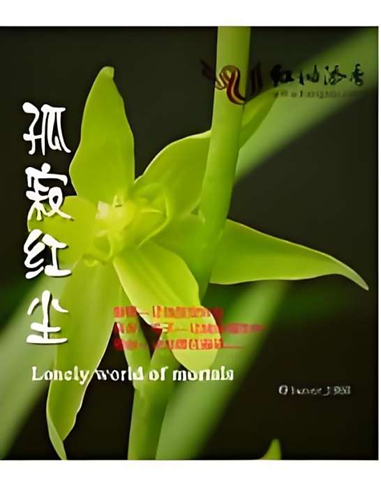 孤寂紅塵 孤寂紅塵