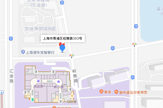 崧雅路303號 崧雅路303號