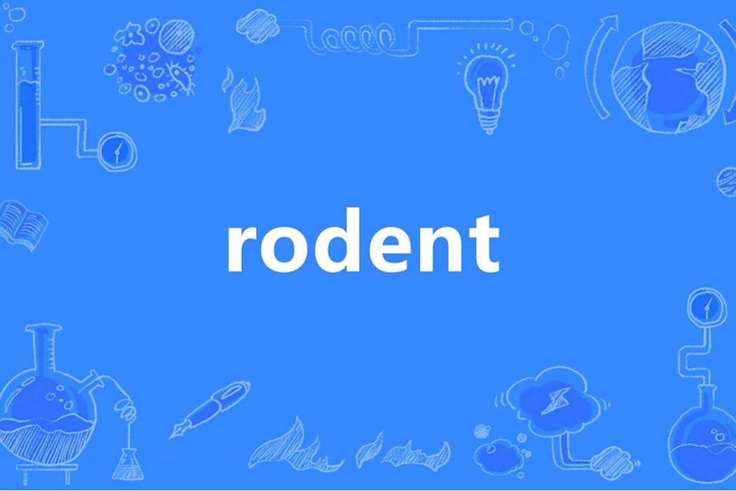 rodent(英語單詞) rodent(英語單詞)