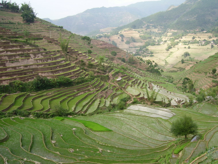 村中田園