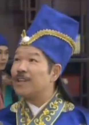 乘龍怪婿 乘龍怪婿