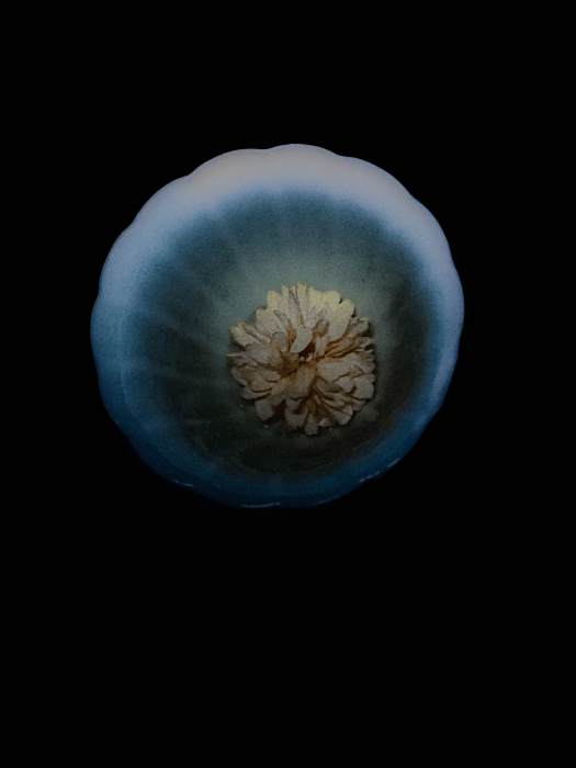 蜉蝣衣 蜉蝣衣