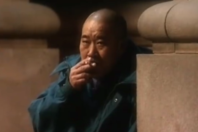 王向東(杜旭東飾演的電視劇角色) 王向東(杜旭東飾演的電視劇角色)