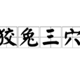 狡兔三穴 狡兔三穴