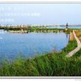 燈籠沙 燈籠沙