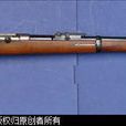 毛瑟1871/84步槍