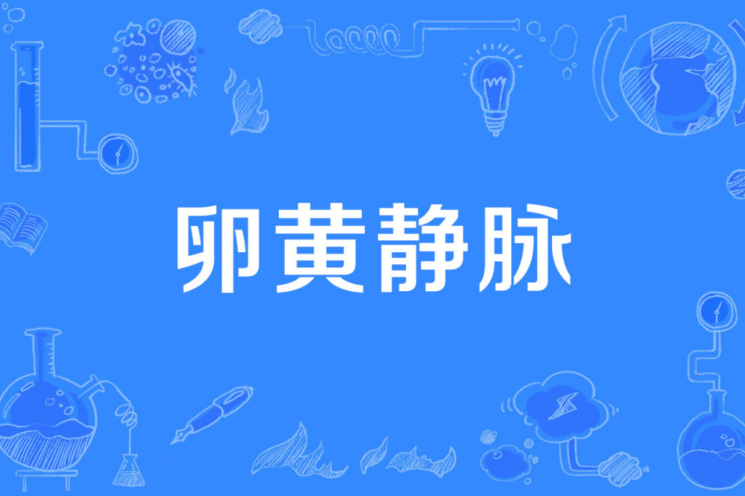 卵黃靜脈 卵黃靜脈