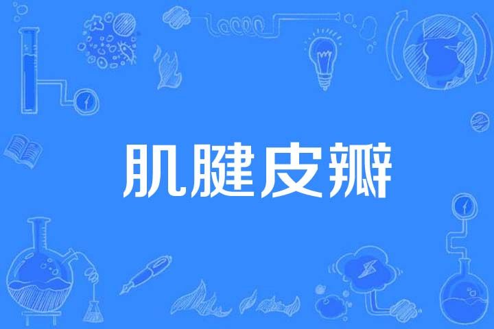 肌腱皮瓣 肌腱皮瓣