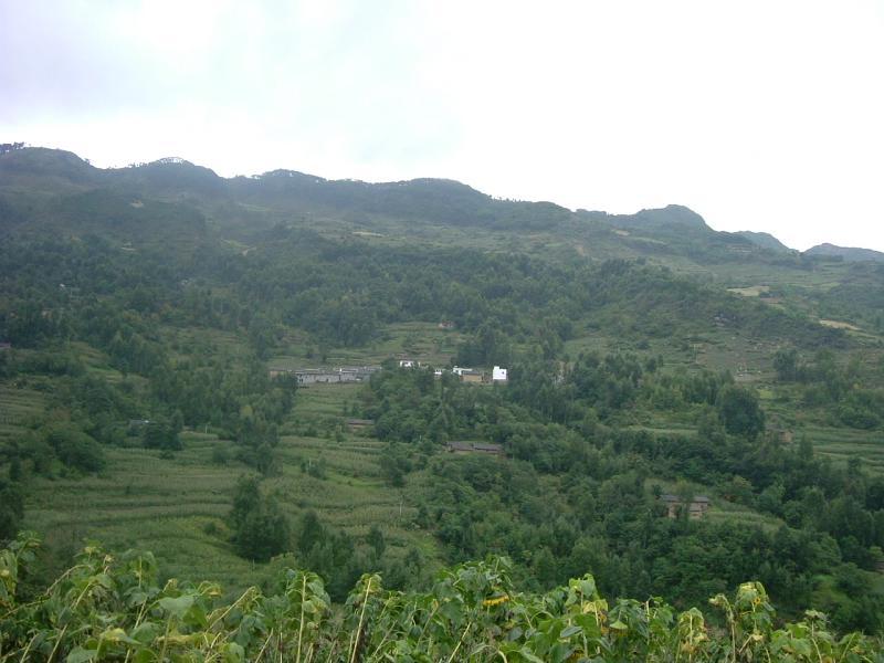 魚畢村 魚畢村