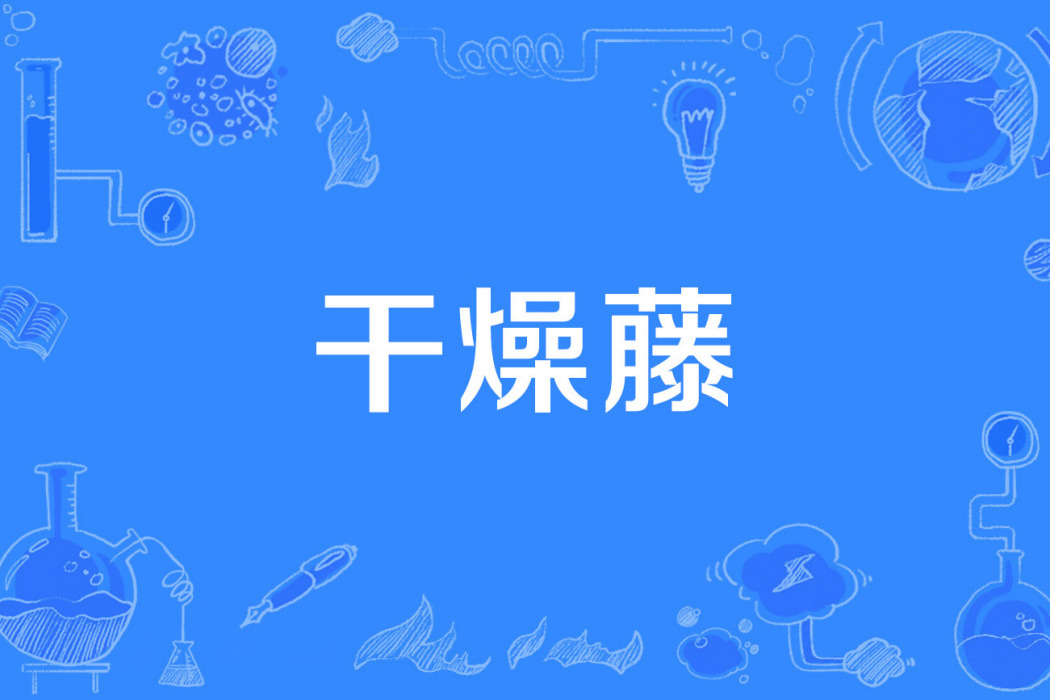 乾燥藤 乾燥藤