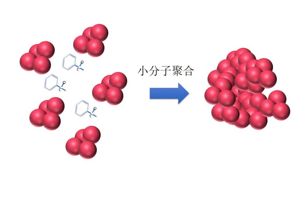 大分子同晶 大分子同晶