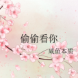 偷偷看你 偷偷看你