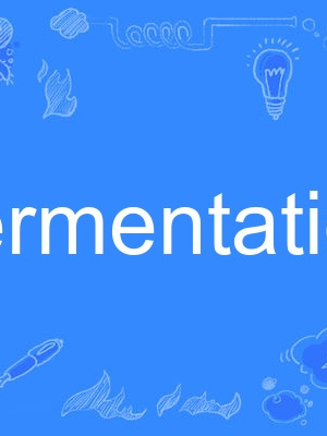 fermentation fermentation