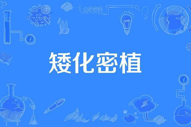 矮化密植 矮化密植