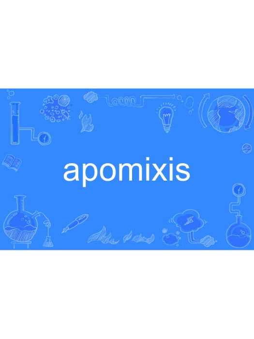 apomixis apomixis