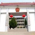 長龍鎮(江西省崇義縣長龍鎮) 長龍鎮(江西省崇義縣長龍鎮)