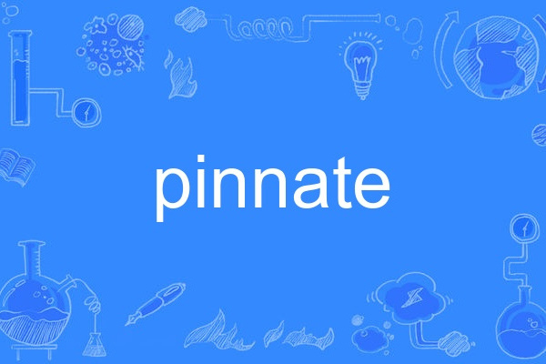 pinnate pinnate