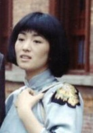畫魂(1993年鞏俐主演電影)