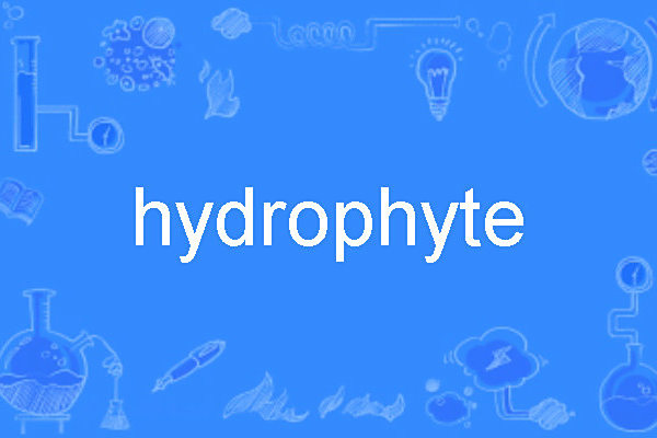 hydrophyte hydrophyte