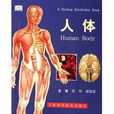 人體(醫學名詞)