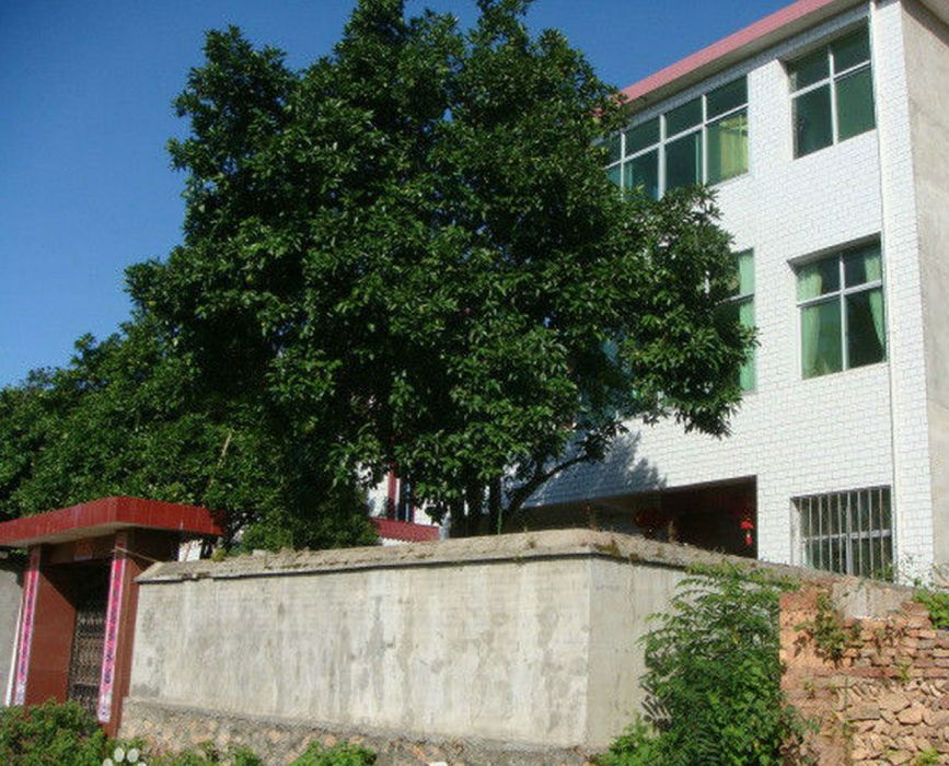花園坑村 花園坑村