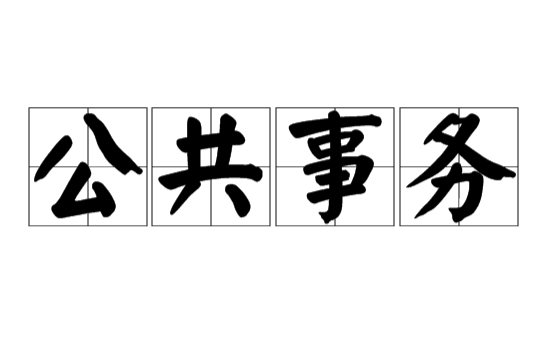 公共事務(漢語詞語)