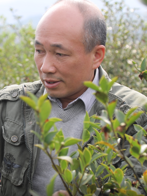 朱文輝(湖南郁蔥林業科技有限公司董事長) 朱文輝(湖南郁蔥林業科技有限公司董事長)