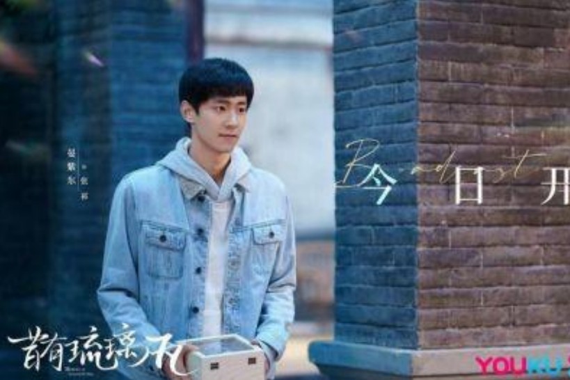 張祁(當代都市劇《昔有琉璃瓦》角色) 張祁(當代都市劇《昔有琉璃瓦》角色)