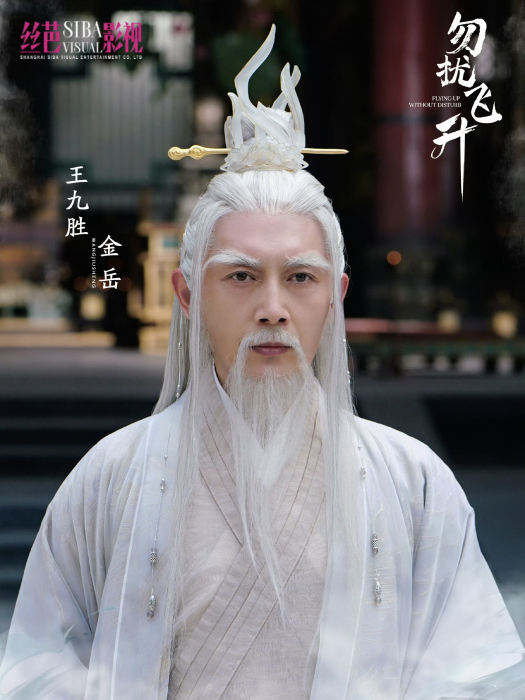 金岳(電視劇《勿擾飛升》中的角色) 金岳(電視劇《勿擾飛升》中的角色)