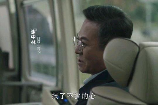 謝中林(2021年電視劇《掃黑風暴》中的角色) 謝中林(2021年電視劇《掃黑風暴》中的角色)