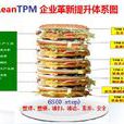 LEANTPM LEANTPM