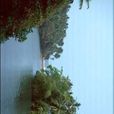 大湖壁紙7