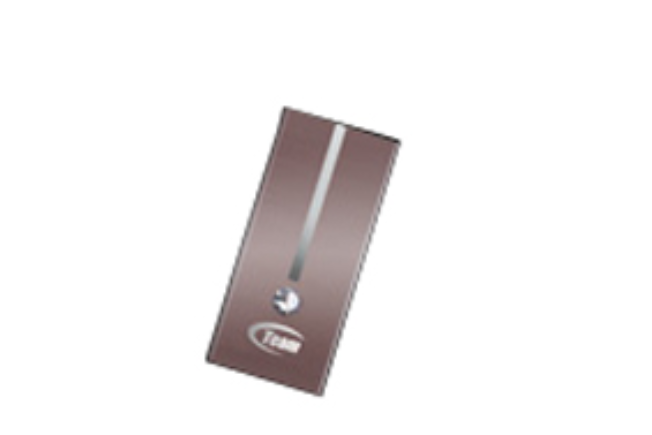 Team Diamond(4GB) Team Diamond(4GB)