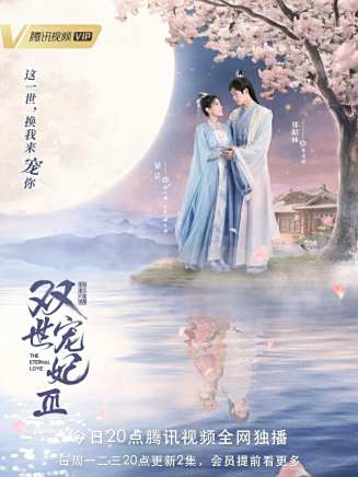 周紫馨